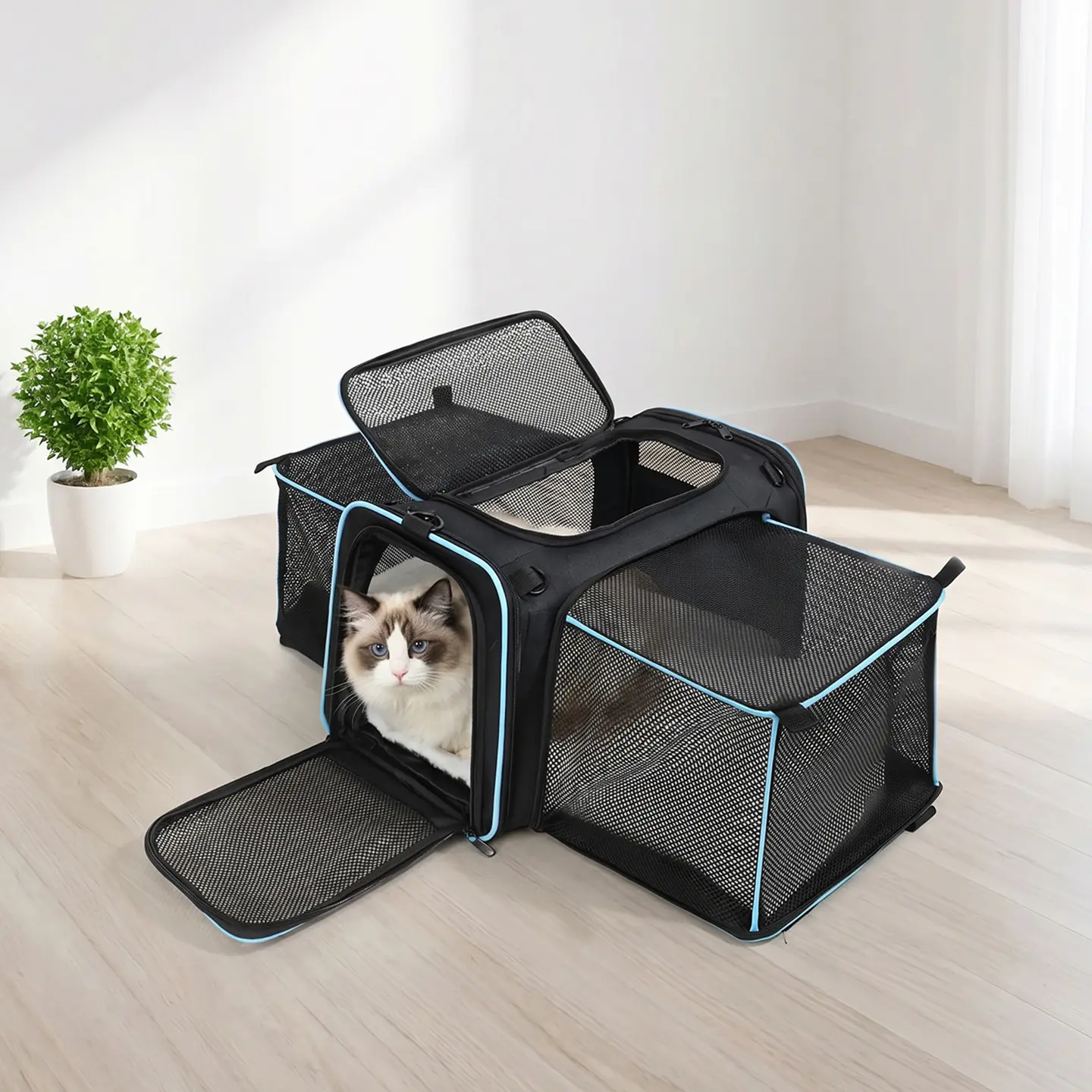 Factory Direct Supply Pet Bags (Cat & Dog) Expandable Large Capacity Portable Shoulder Slung Out Bag